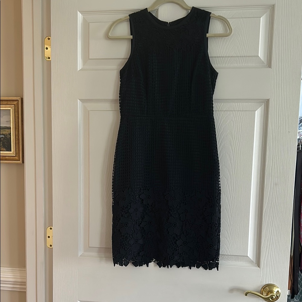 Ann Taylor Lace Sheath Dress